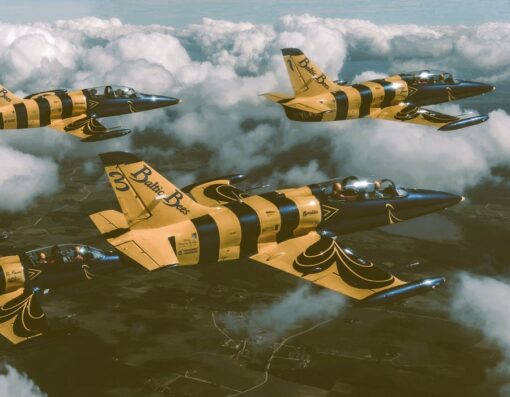 Flug im Militärjet ab Sion - Bild 2