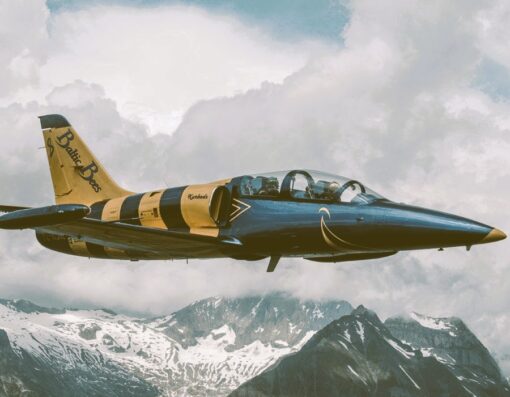 Flug im Militärjet ab Sion - Bild 3