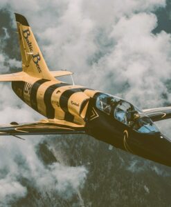 Flug im Militärjet ab Sion