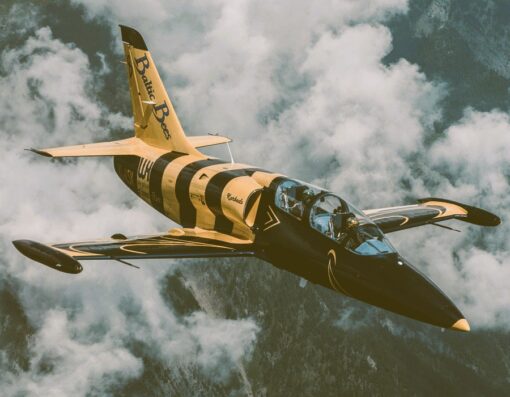 Flug im Militärjet ab Sion