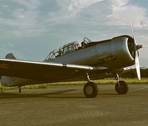 Ihr Flug in der AT-16/T-6 ab Birrfeld