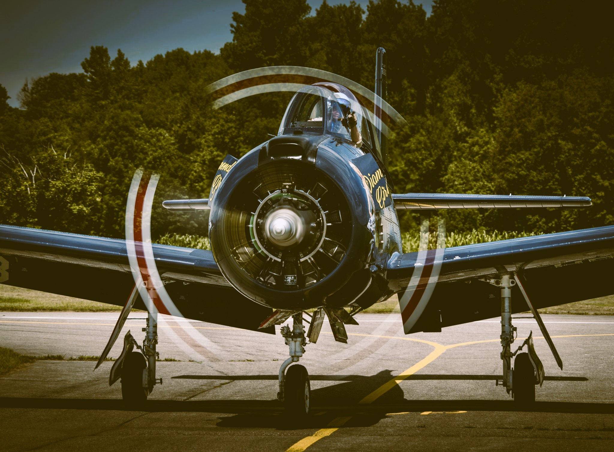 T-28 Warbird-Flug ab Bremgarten - Image 6