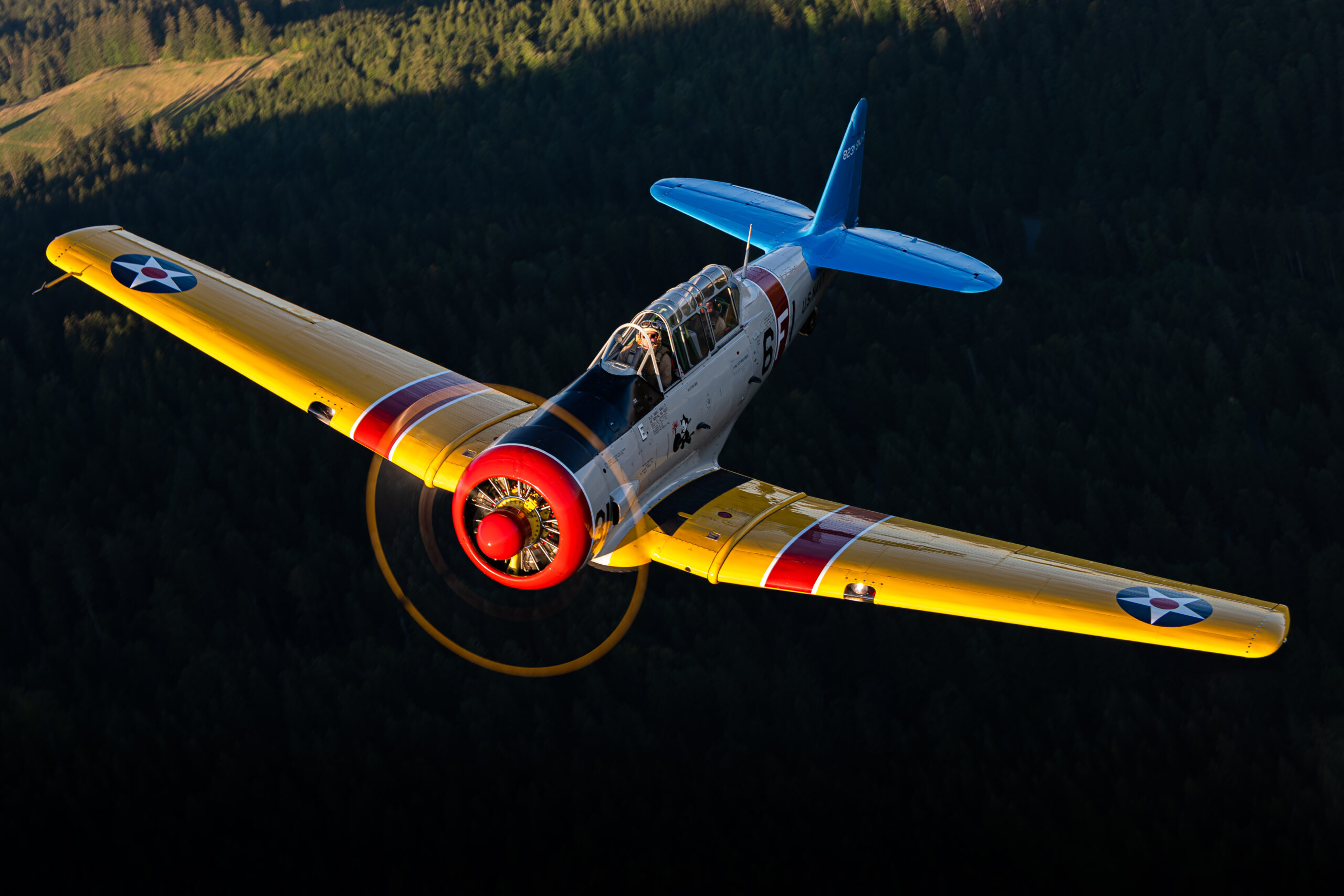 North American T-6G Texan Flug ab Lausanne - Image 3